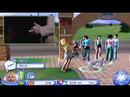 The Sims 2 : Pets, Wii Walkthrough