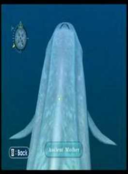 Endless Ocean - Ancient Mother and Blue Whale