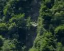 Unicorn Sighting In Switzerland 