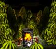 Donkey Kong Country in 24:24