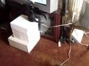 cat playing wii.