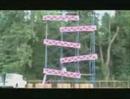 Real Life Donkey Kong 
