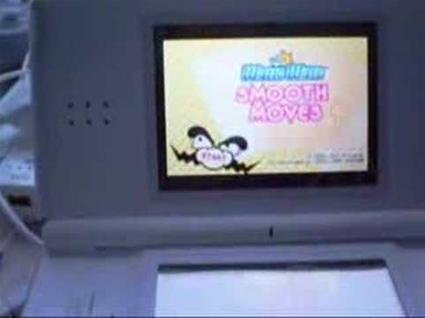 Wii on Nintendo DS Lite