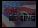 Showtime Championship Boxing Wii
