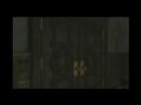 Wii Video