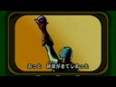 Wii Video