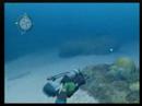 Forever Blue- Endless Ocean, New Footage
