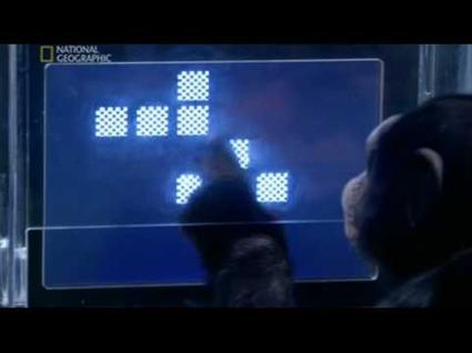 Wii Video