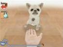 Wii Video