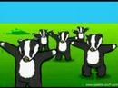 The Badger Song