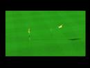We Love Golf [Wii]
