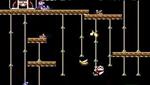 Donkey kong JR - NES