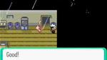Pokemon Emerald-My first pokemon hack