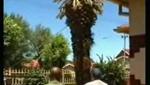 Wii Video - Tree Removal Fail