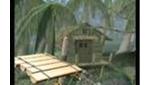 Wii Video - Kongo Jungle - History Behind Super Smash Bros. Melee