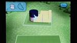 My Sims Wii House Construction