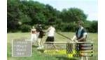 Wii Video - Ultimate Utopia XXIII - The Original RPG Parody