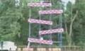 Wii Video - Real Life Donkey Kong 