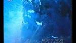 firework factory explodes