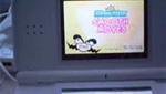 Wii on Nintendo DS Lite