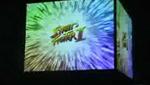 TVC NEW INTRO