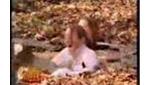 Wii Video - Mother of all pranks