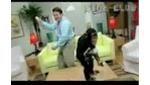 Samba de Amigo Monkey Business 