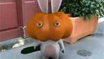 Bunnies can´t scare peopble